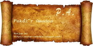 Pekár Amadea névjegykártya